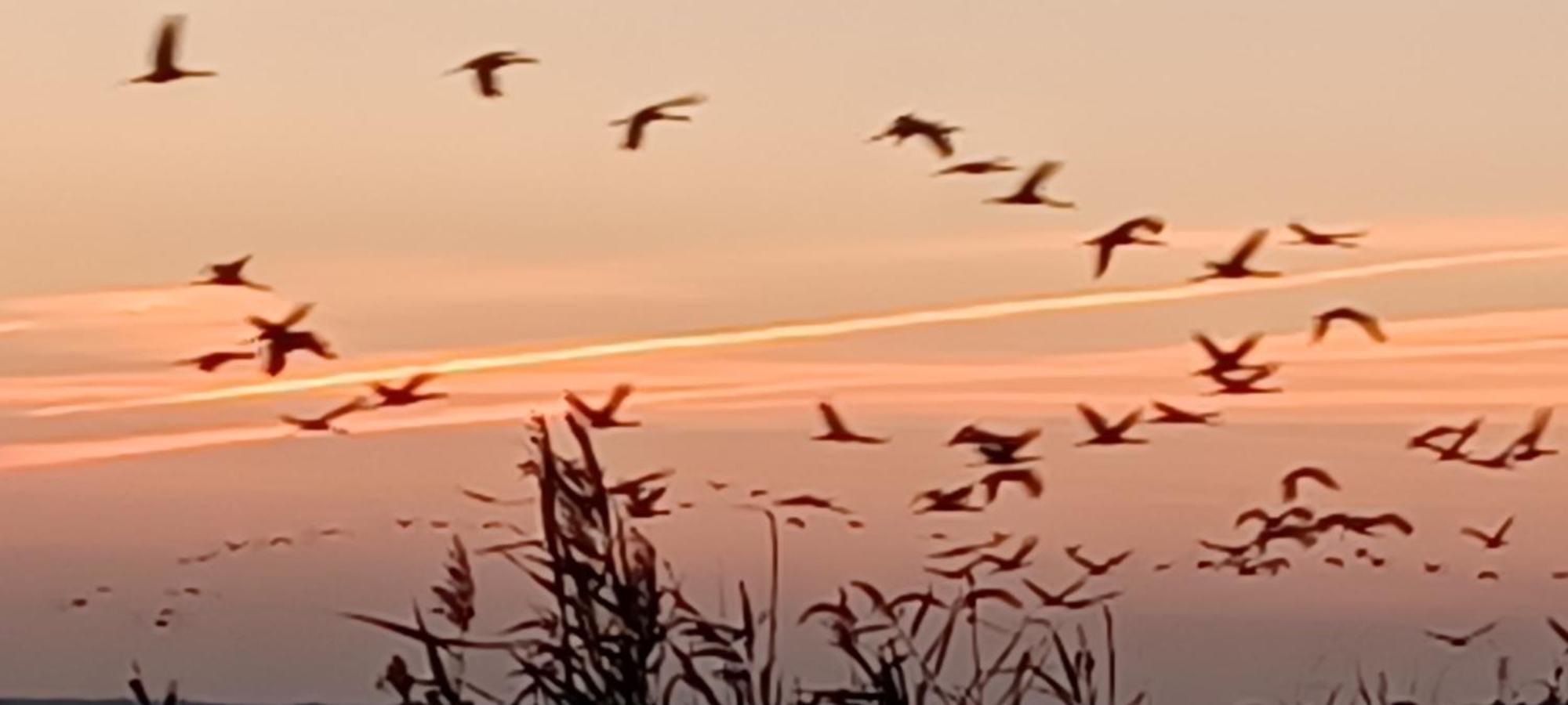 Fewo Seeadler - Heuser Prerow Zewnętrze zdjęcie