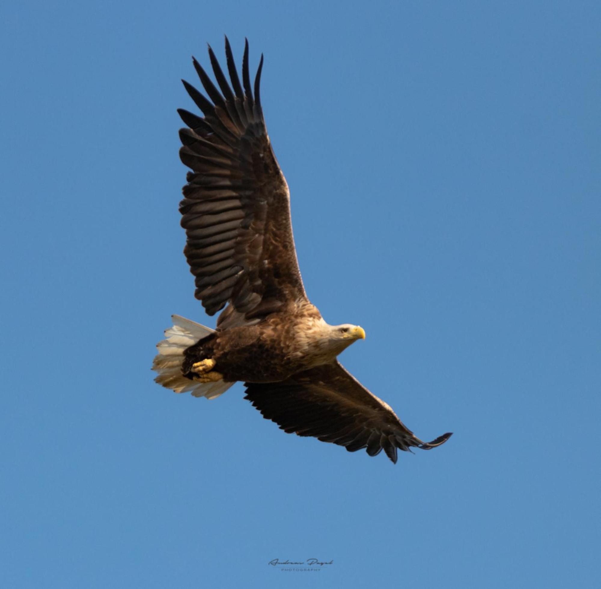 Fewo Seeadler - Heuser Prerow Zewnętrze zdjęcie